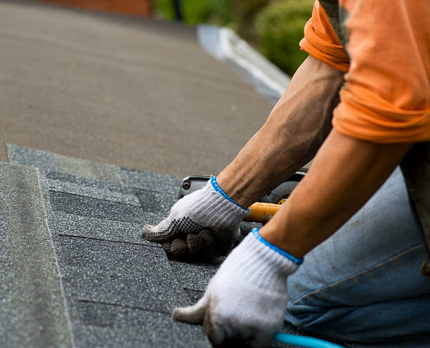 Best Local Roofing Companies  in Greeley, CO