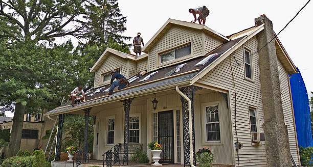 Reliable Greeley, CO Roofing Contractor Solutions